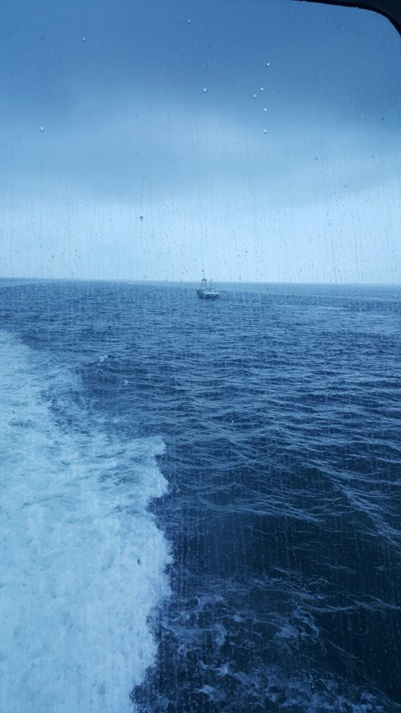 na regen komt zonneschijn