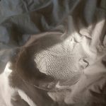 Arcopal vis schaal vintage